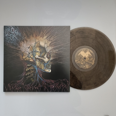 NOXIS (us) - Violence Inherent in...-LP (ltd. CLEAR marbled Vinyl)