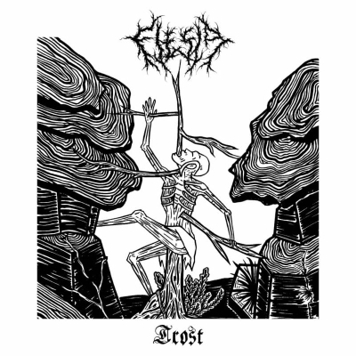 FLESIA - Trost - LP