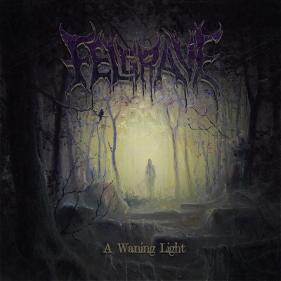 FELGRAVE - A Waning Light - CD