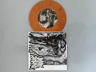 SANGRE DE IDIOTAS (sk) / MINDBLOWER (ger) - split 7"EP