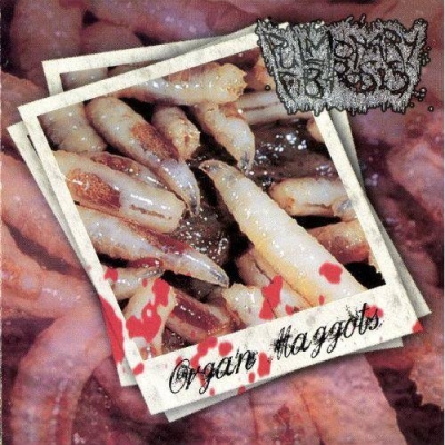 PULMONARY FIBROSIS - Organ Maggots - CD