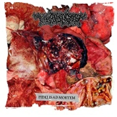THANATOPSIS - Fidelis Ad Mortem - CD DIGIPAK