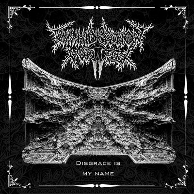 ANNIHILATION VORTEX (pl) - Disgrace Is My Name - CD