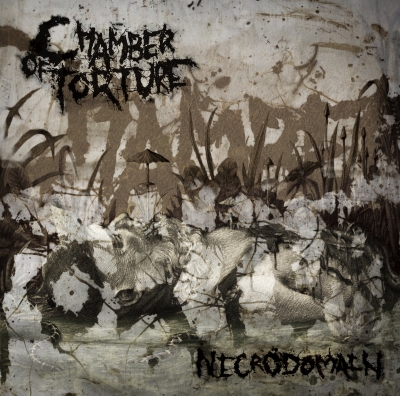 CHAMBER OF TORTURE - Necrodomain - CD