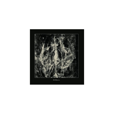 DEVOURING STAR - Antihedron - CD