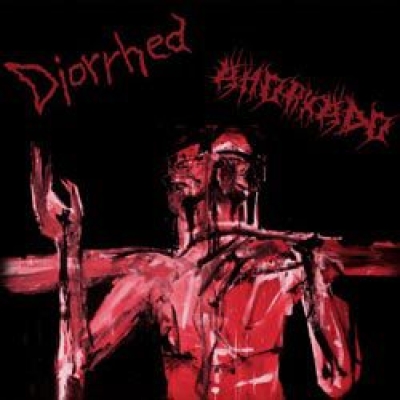 DIORRHEA / AHORKADO - split CD
