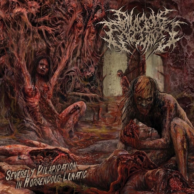 DIVICIOUS EXECUTION (id) - Severely Dilapidation.. - CD