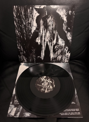 FEASTEM / INSISTENT - split LP