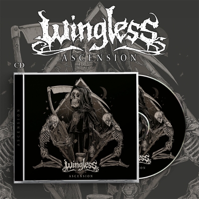 WINGLESS (pl) - Ascension - CD