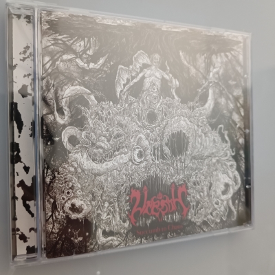VRENTH - Succumb to Chaos - CD