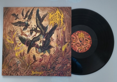 NOROTH (usa) - Harbringer - LP