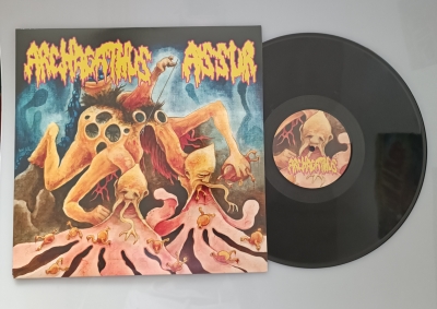 ARCHAGATUS (ca) / ASSUR (be) - split LP