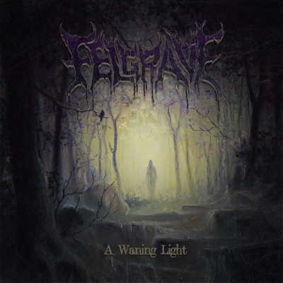 FELGRAVE - A Waning Light - CD