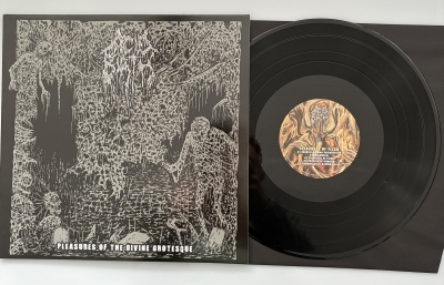 ACID BIRTH (us) - Pleasures of the Divine Grotesque - LP