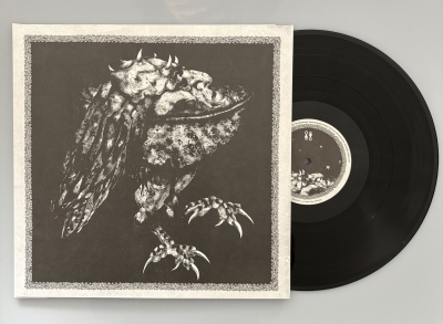 NEKRODEUS (at) - Ruaß - LP (black vinyl + DL code)