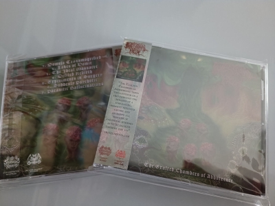 INTESTINAL HEX - The Exalted Chambers of Abhorrence - CD + OBI