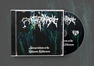 ANTAGONYZE (cl) - Interpretations Of The Unknown Wilderness - CD