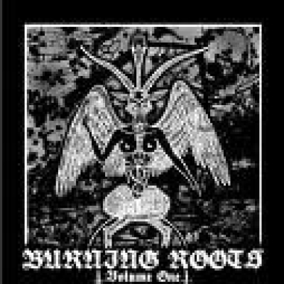VA - Burning Roots Vol One - Anti NSBM comp. - CD