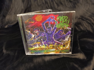 MAZE OF TORMENT (pl) - Silencing The Voice of Reason - CD