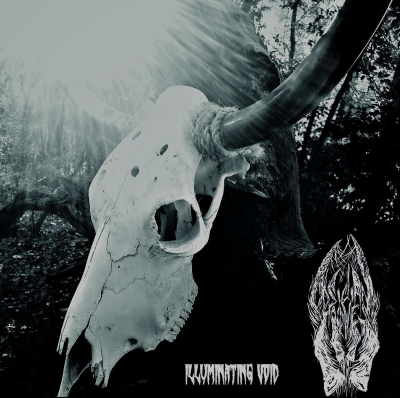 OBSIDIAN HOOVES (US) - Illuminating Void - CD