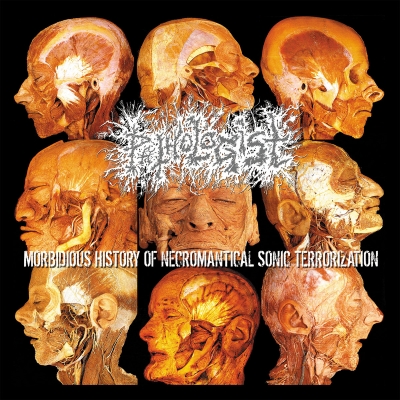 PATHOLOGIST (cz) - Morbidious History Of Necromantical.. - CD