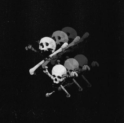 PRIMITIVE SLAUGHTER (ger) - Endless Raids - CD