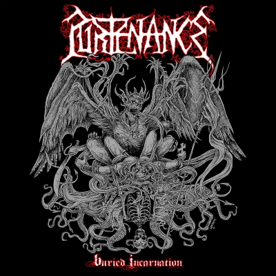 PURTENANCE - Buried Incarnation - CD
