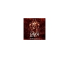 SLAYER - Evil Metal Demos - CD